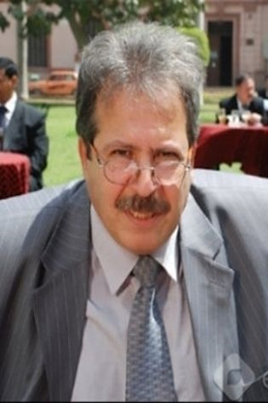 Sami Abdel Halim portrait
