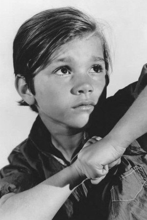 Darryl Hickman portrait