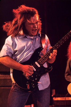 Ed King portrait