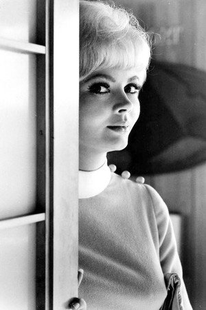Jeannine Riley portrait