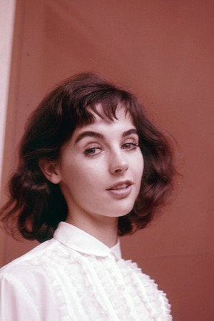 Millie Perkins portrait