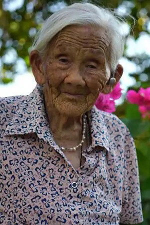 Wei Shaolan portrait
