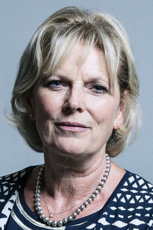 Anna Soubry portrait