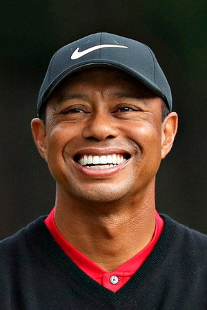Tiger Woods portrait