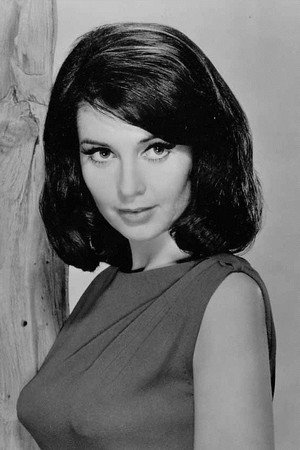 Anjanette Comer portrait