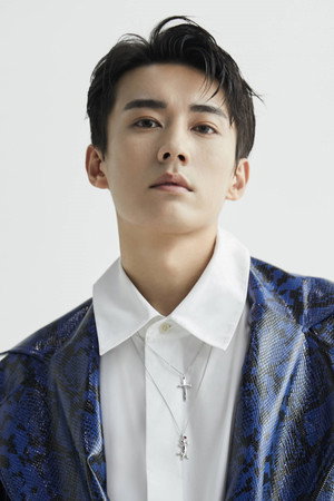 Liu Xueyi portrait