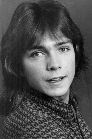 David Cassidy portrait