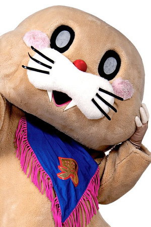 Pokotan portrait