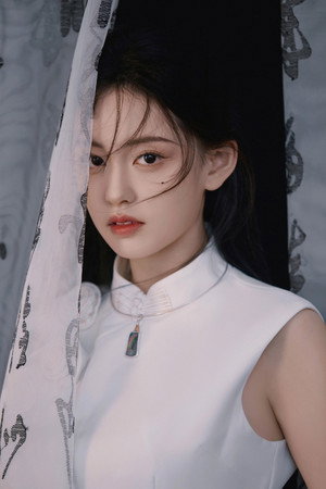 Sun Yanqing portrait