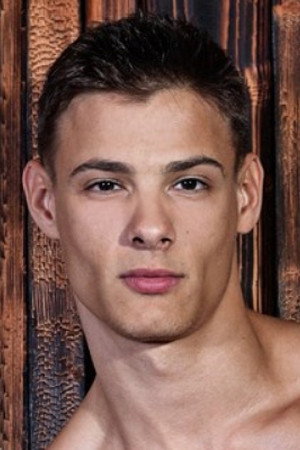 Andrei Karenin portrait