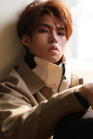 Lu Junjie portrait