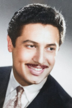 Toygar Belevi portrait