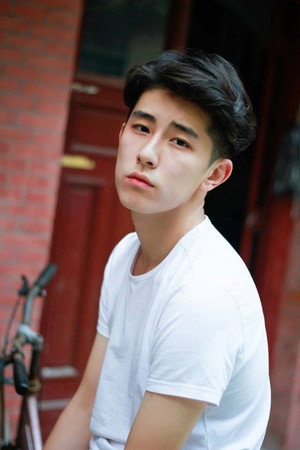 Lin Fengsong portrait