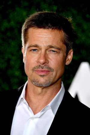 Brad Pitt portrait