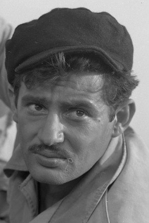 Skënder Plasari portrait