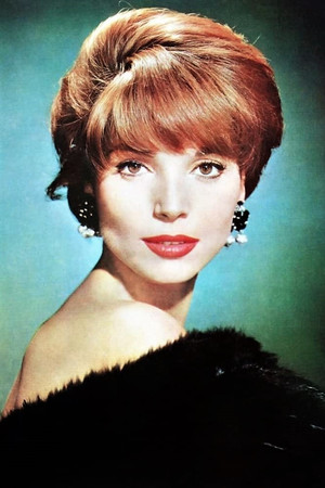 Elsa Martinelli portrait