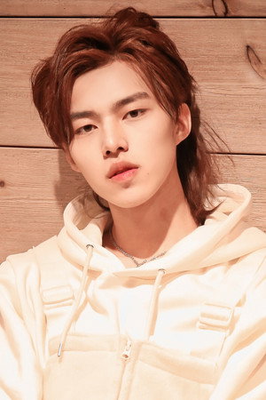 Lu Junjie portrait
