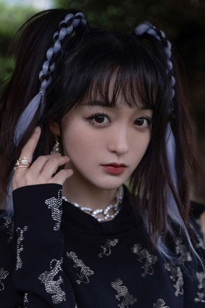 He Hongshan portrait
