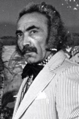 Siroos Shandermani portrait