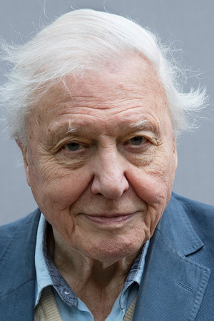David Attenborough portrait
