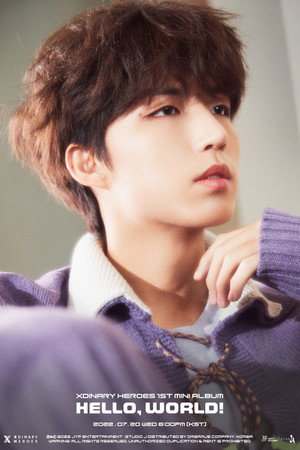 Jun Han portrait