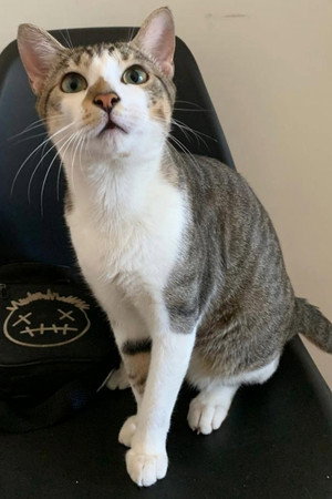 Noah portrait