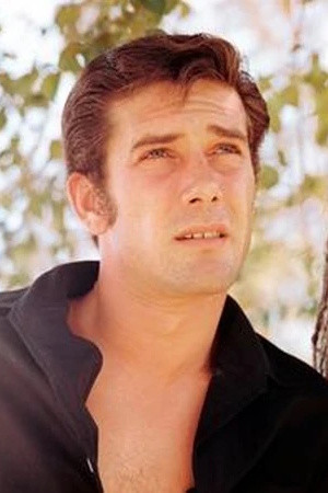 Robert Fuller portrait