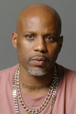 DMX portrait