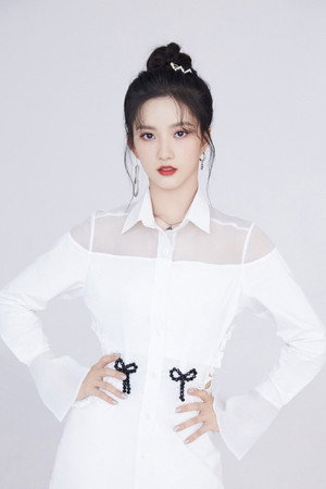 Liu Xiening portrait