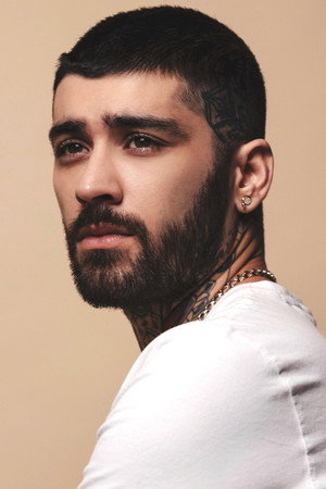 Zayn Malik portrait