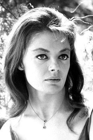 Sheree North portrait