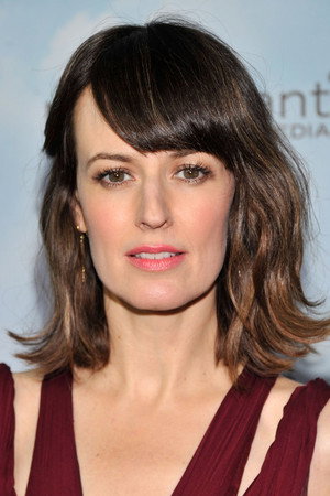 Rosemarie DeWitt portrait