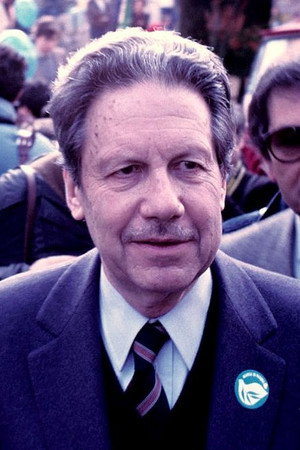Flaminio Piccoli portrait