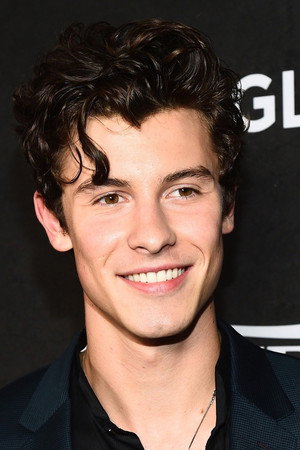 Shawn Mendes portrait