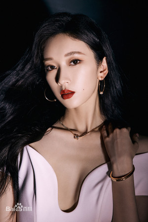 Liu Lingzi portrait