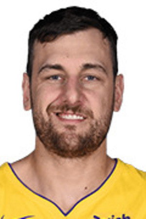 Andrew Bogut portrait