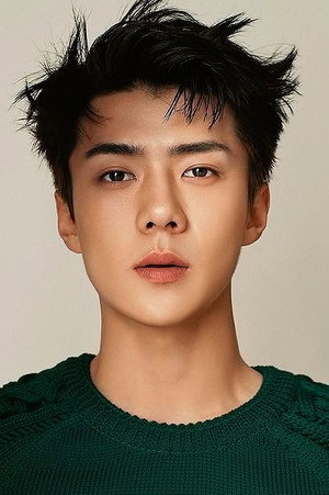 Sehun portrait
