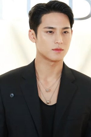 Mingyu portrait