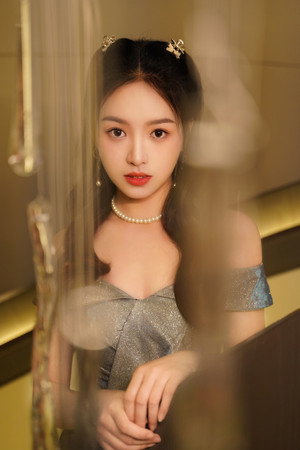 Li Wenru portrait