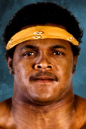 Bruce Reed portrait