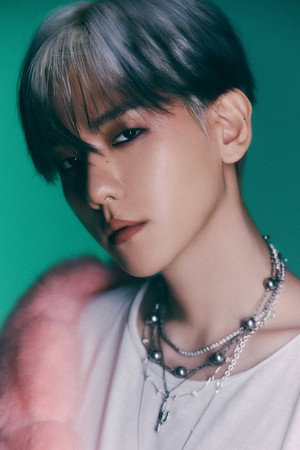 Baekhyun portrait
