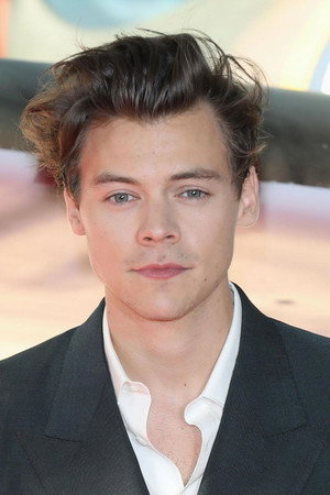 Harry Styles portrait