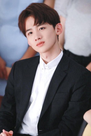 Bai Jingting portrait