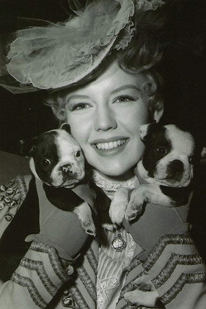 Sally Fraser portrait