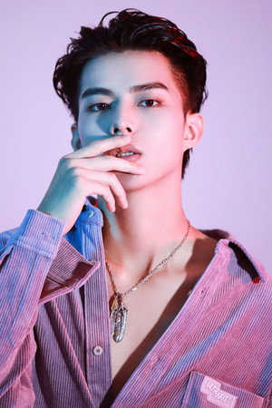 Lu Junjie portrait