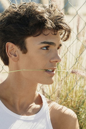 Connor Gosatti portrait