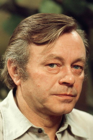 Heinz Fülfe portrait