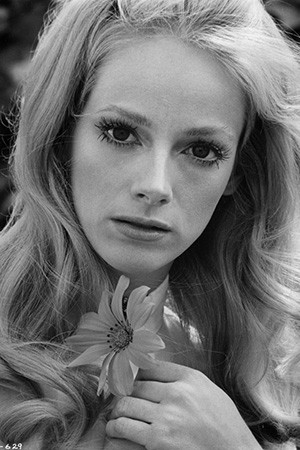 Sondra Locke portrait