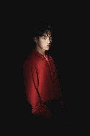 L portrait