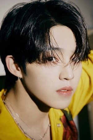 S.Coups portrait
